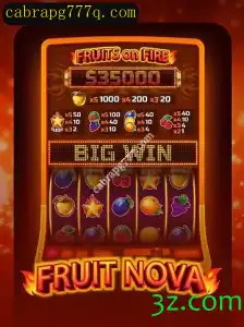 Explorando o Mundo de FruitNova: Um Mergulho nos Detalhes e Regras do Jogo